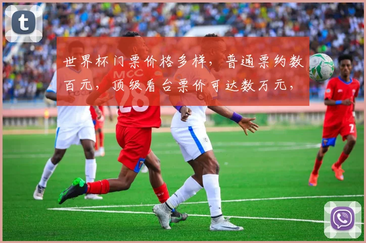 世界杯门票价格多样，普通票约数百元，顶级看台票价可达数万元，您选哪个