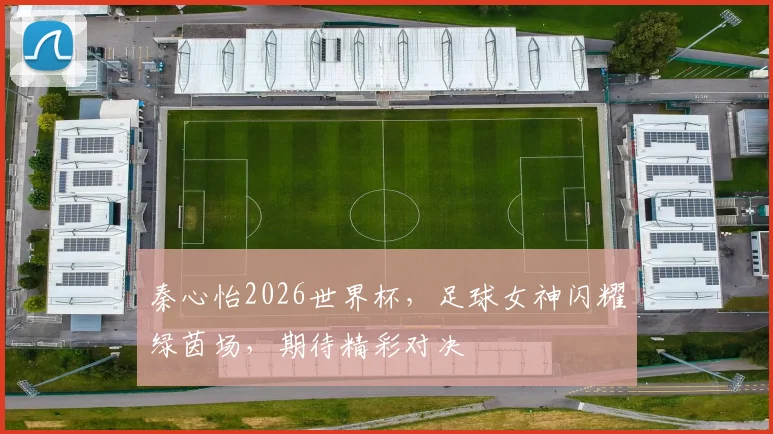 秦心怡2026世界杯，足球女神闪耀绿茵场，期待精彩对决