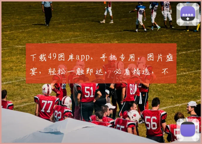 下载49图库app，手机专用，图片盛宴，轻松一触即达，必看精选，不容错过