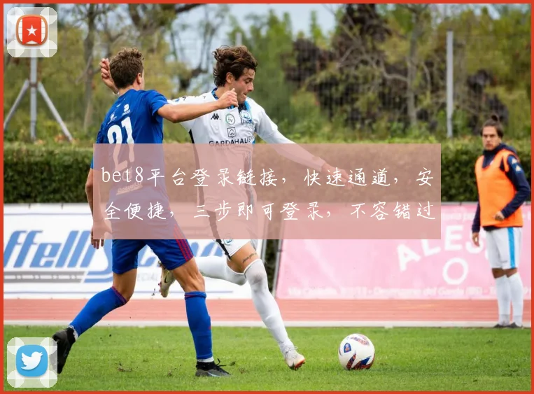 bet8平台登录链接，快速通道，安全便捷，三步即可登录，不容错过，必看攻略