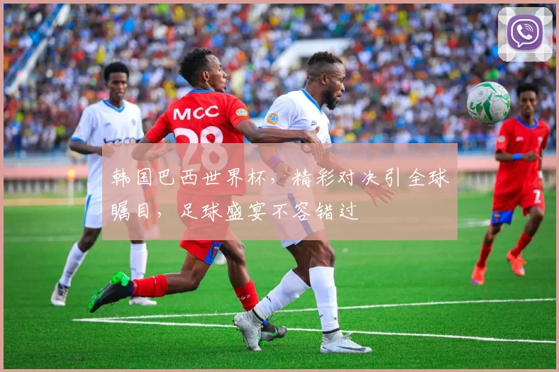 韩国巴西世界杯，精彩对决引全球瞩目，足球盛宴不容错过