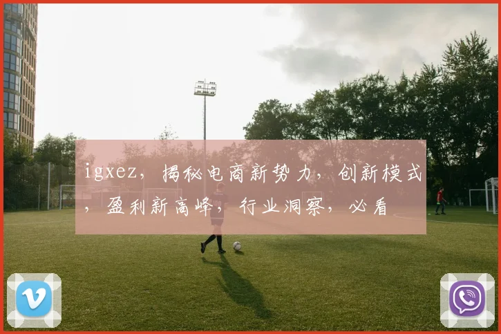 igxez，揭秘电商新势力，创新模式，盈利新高峰，行业洞察，必看